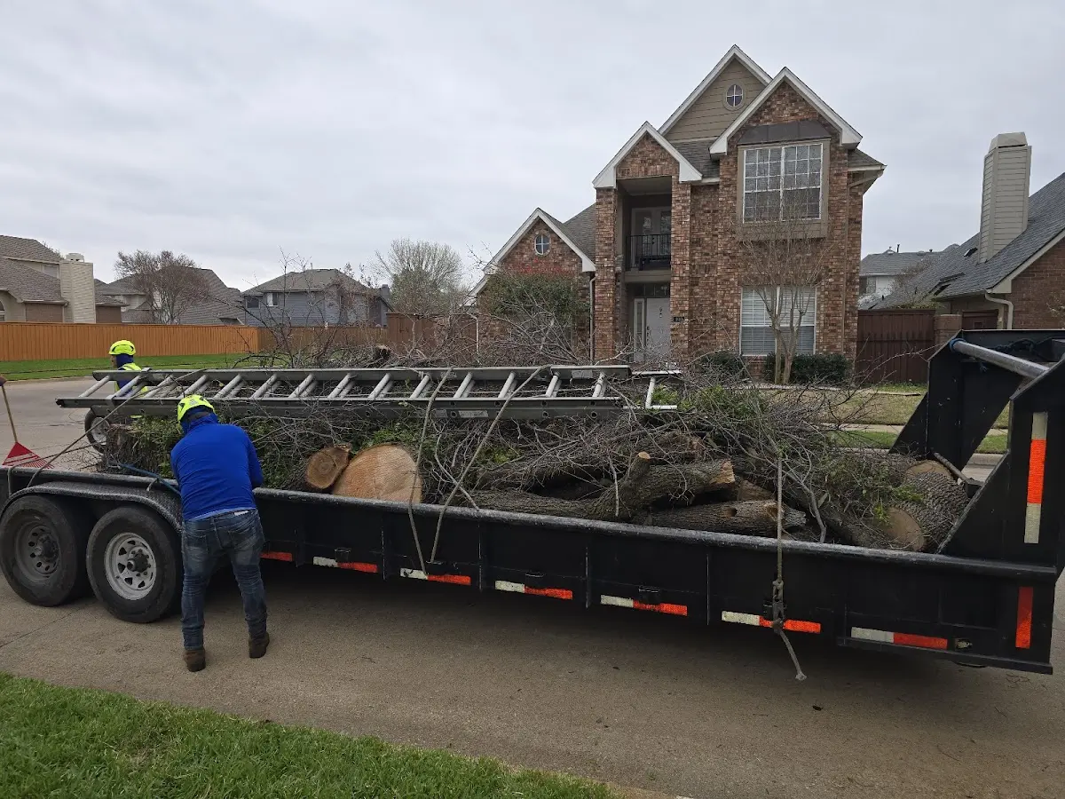 Expert Tree Removal with proper safety equipment in Bedford